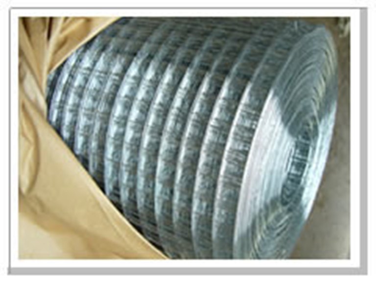 全兴丝网电焊网系列电镀锌电焊网